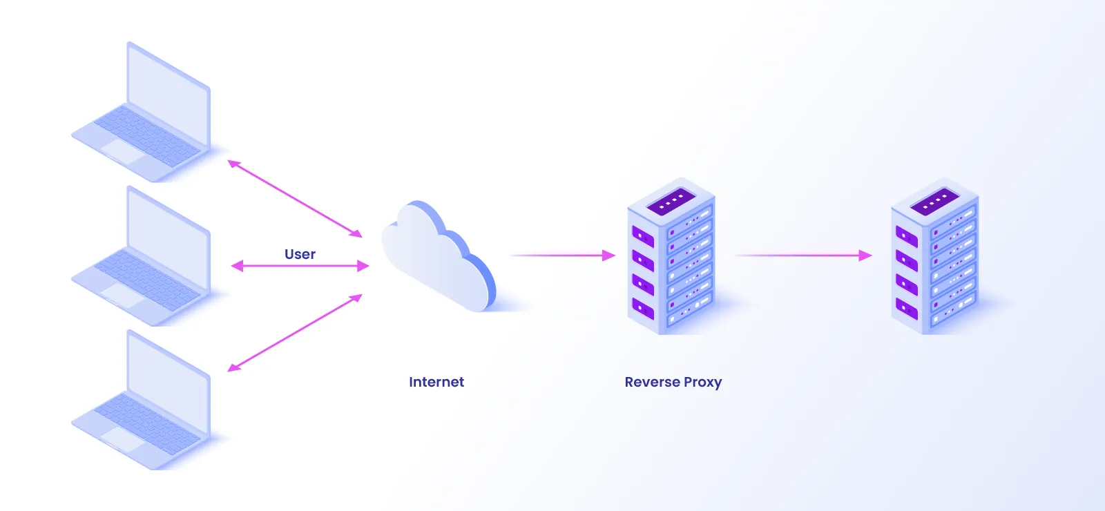 Reverse Proxy